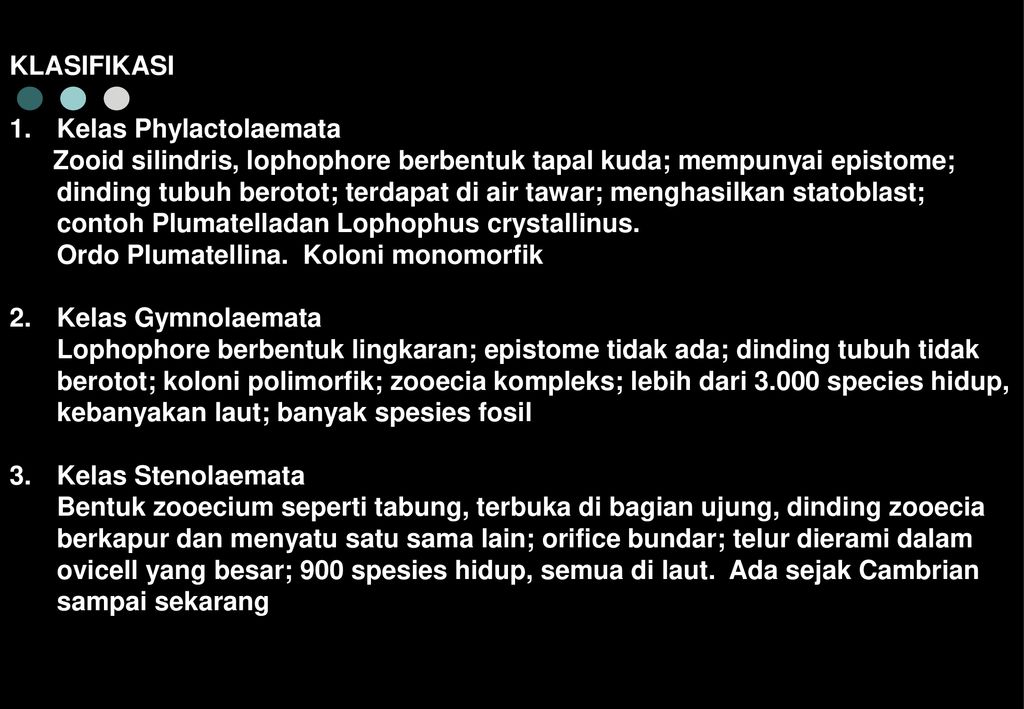 Filum Bryozoa Menjelaskan Morfologi Anatomi Reproduksi Daur Hidup